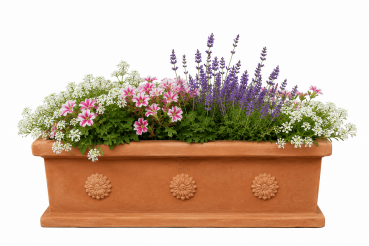 Pflanzkasten Terracotta mit Rosette - Cassetta Borchie